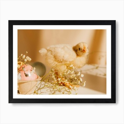 Easter Chick 11 Art Print Framed Wall Art Poster Canvas Print Picture
