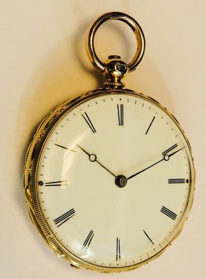 Einmalige Colondre & Schnee Geneve 18K Gold TU mit Emaile Lupenmalerei Diamant