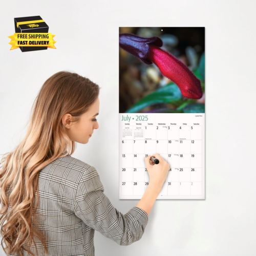 D'Ck Pics in Nature 2025 Wall Calendar 12 Month | 12" X 24" Open | Thick & Sturd - Picture 4 of 6