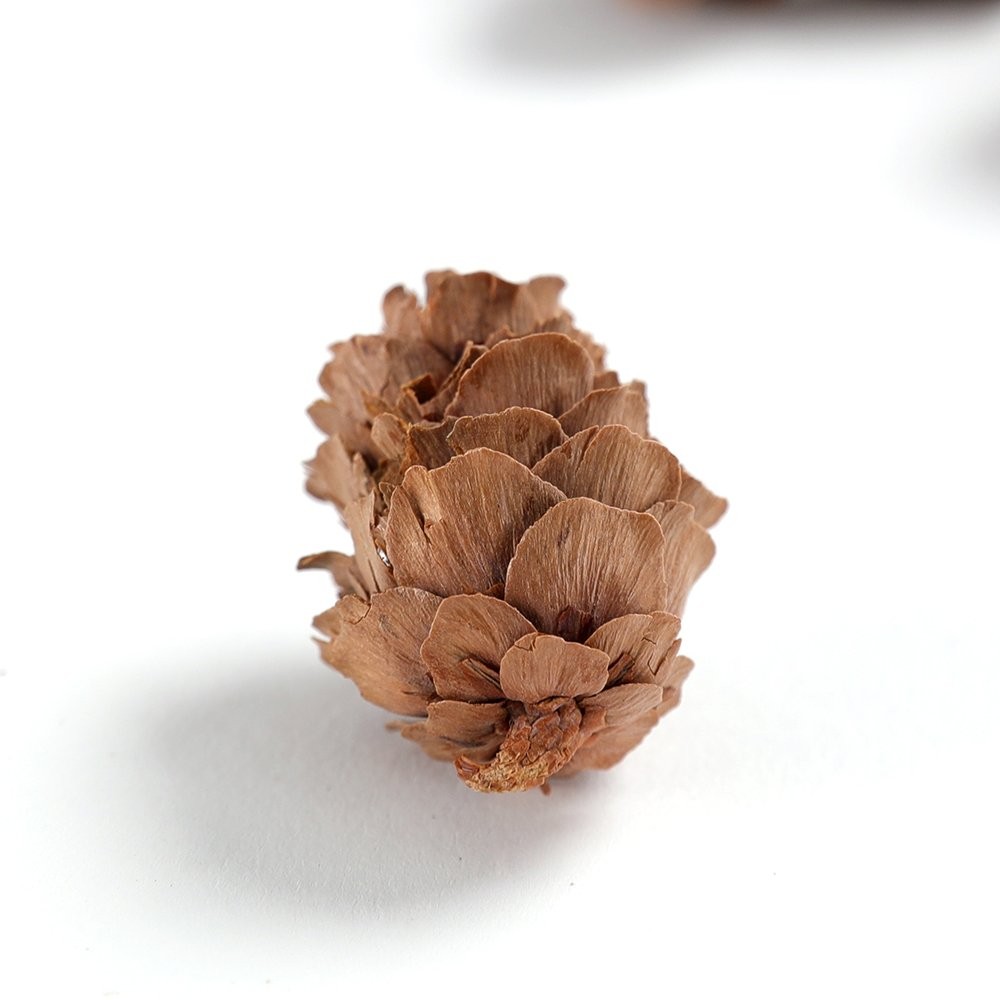 Pine Cones, Mini Pinecones in Bulk for Crafts, 8OZ, Pack of 110 (Natural)