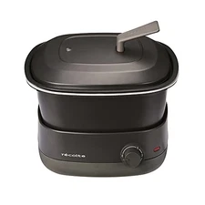 recolte Pot Duo Carre Electric Pot Grill Fry Tempura and Rice Cooker 5-in-1