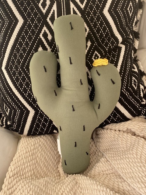 pillowfort cactus pillow