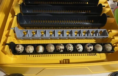 Brinsea Ovation 28 & 56 Quail Egg Carriers, Tray, Holder, Pack Of 4 Trays