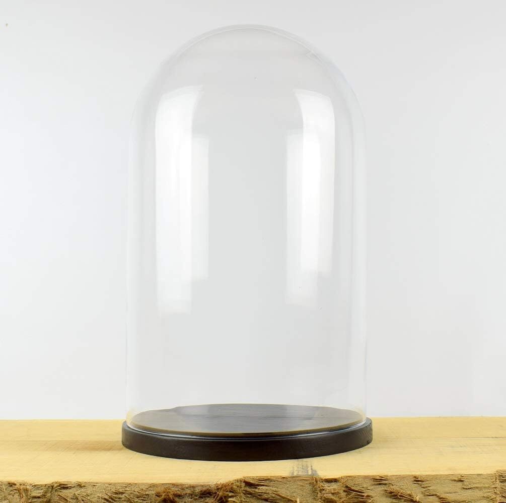 Large Handmade Mouth Blown Glass Dome with Black Wooden Base H:50x30cm