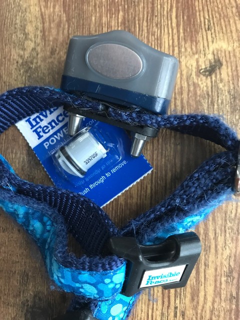 invisible fence receiver for sale