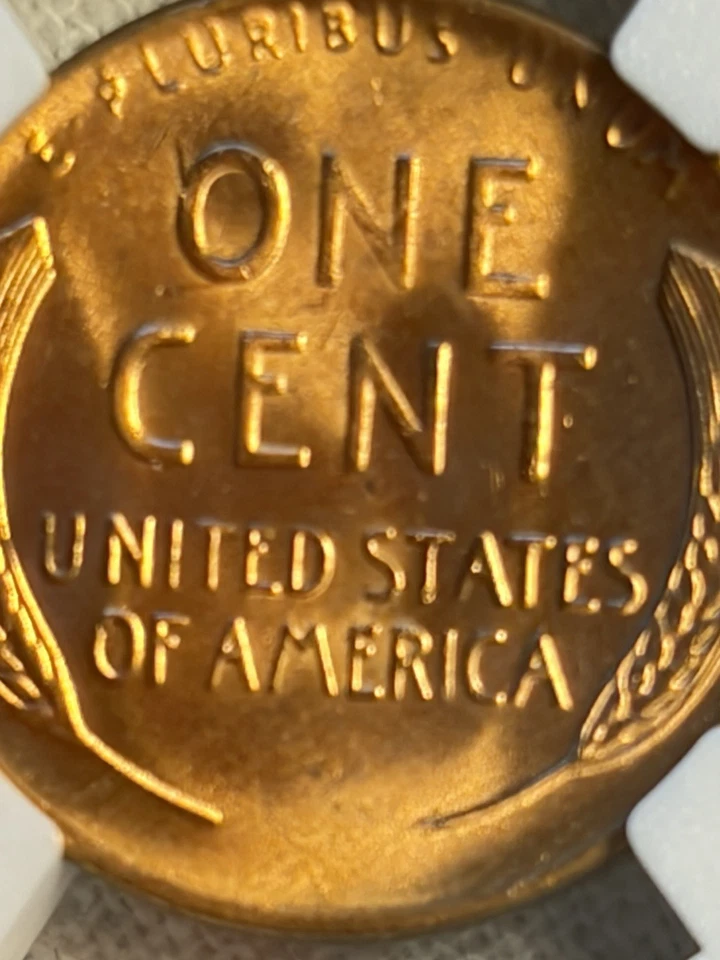 Hermosa moneda para coleccionar Lincoln Wheat Penny 1953 D graduada por NGC MS 65 RD Foto 4 de 4