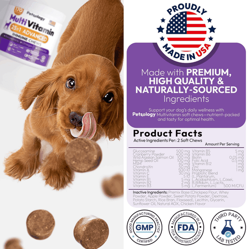 Dog Multivitamin Chewable Vitamins Supplements with Glucosamine 170 Chews - Picture 6 of 8
