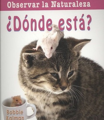 Donde Esta? = Where Is It? by Bobbie Kalman (Spanish) Paperback Book