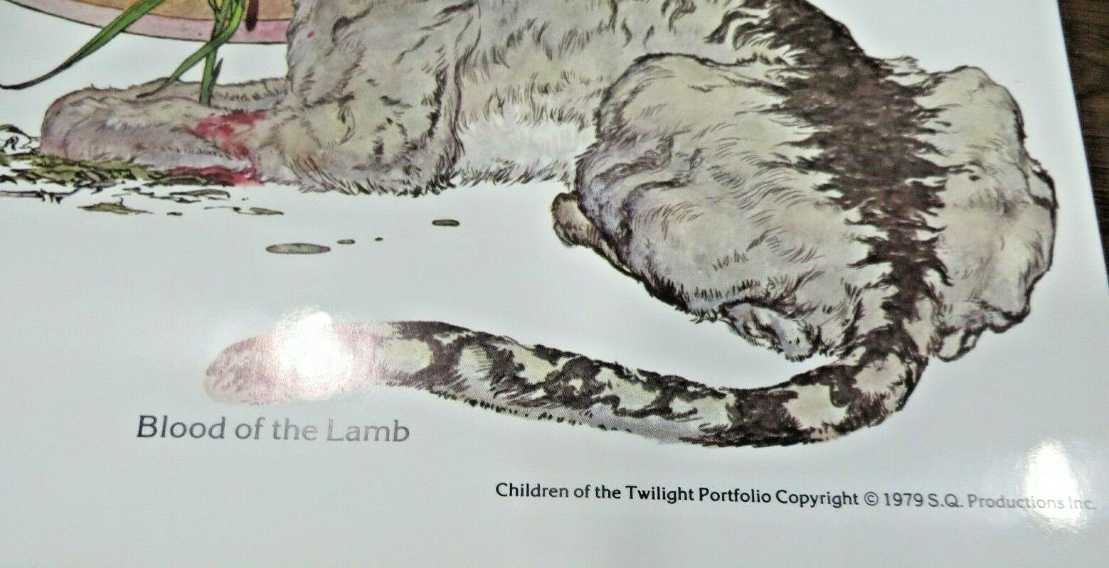 Picture 4 of 7