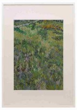Vincent van Gogh Long Grass with Butterflies A3 A4 Framed Print Picture