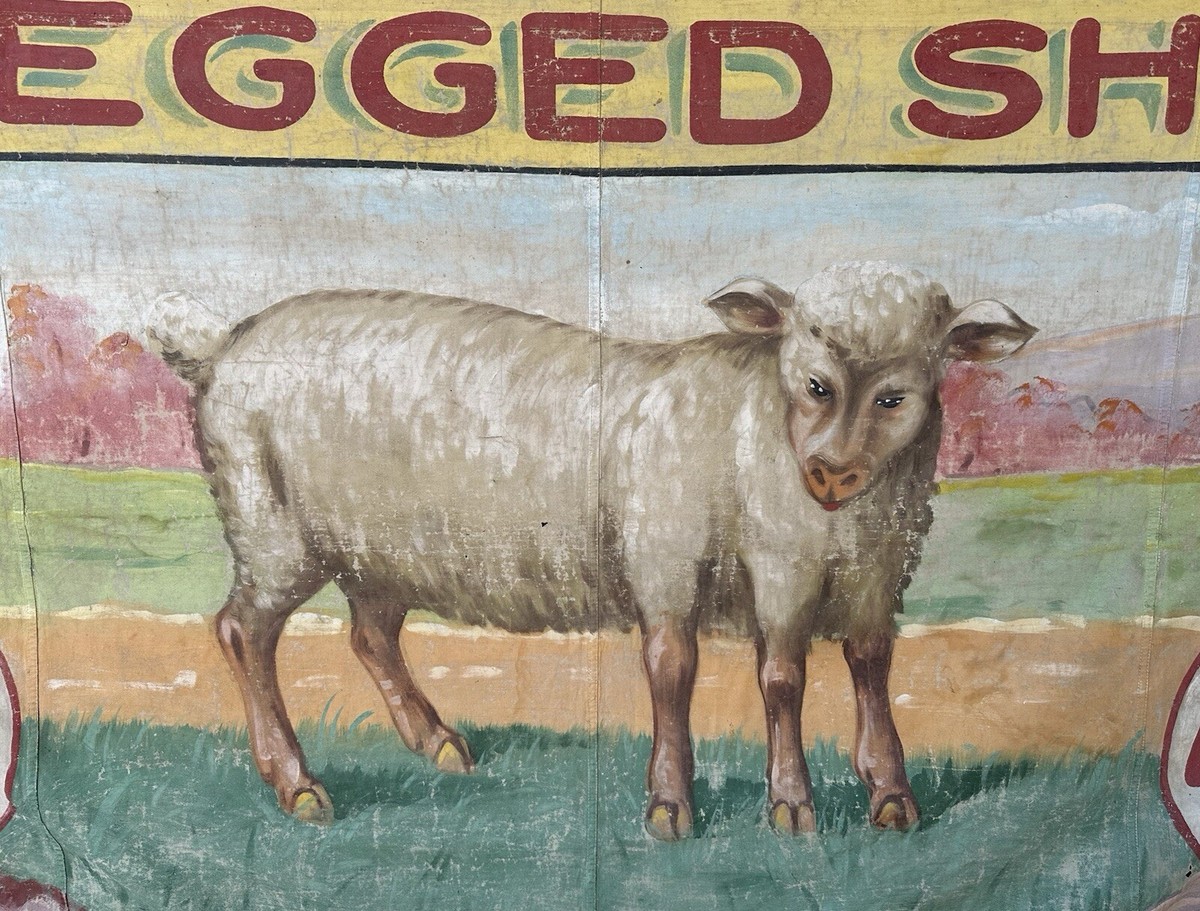 ウォールポスター　ヴィンテージ Johnson & Johnson Antique Painted Canvas Fred G. Johnson 5 Legged Sheep Carnival