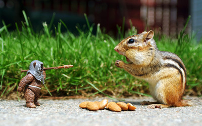 Star Wars squirrel action figures humor ewok Custom Gaming Mat Desk 5079