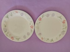 2 Royal Doulton Expressions “ Summer Carnival “ Dinner Plates 