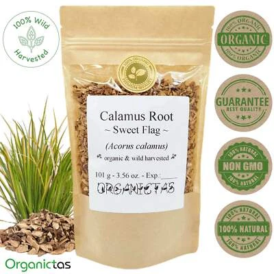 Raíz de Calamus (Acorus Calamus) Rizoma Suelto Orgánico Dulce Bandera Calidad Premium