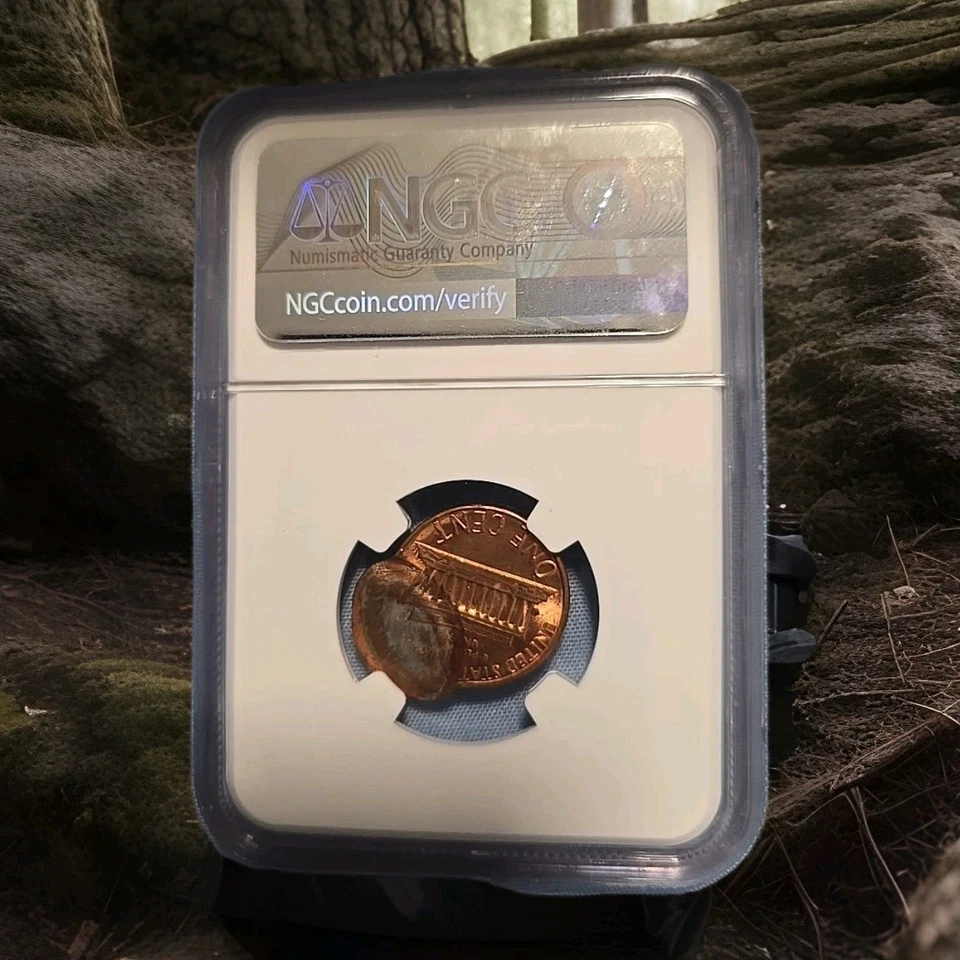 198X Lincoln Cent Double-Struck Off-Center – 2nd Strike Mint Error – NGC MS65 RD - Image 3 of 4