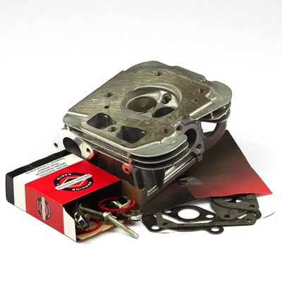 Briggs & Stratton Cylinder Head - Cylinder #1 | 84001918 OEM - Replacement P