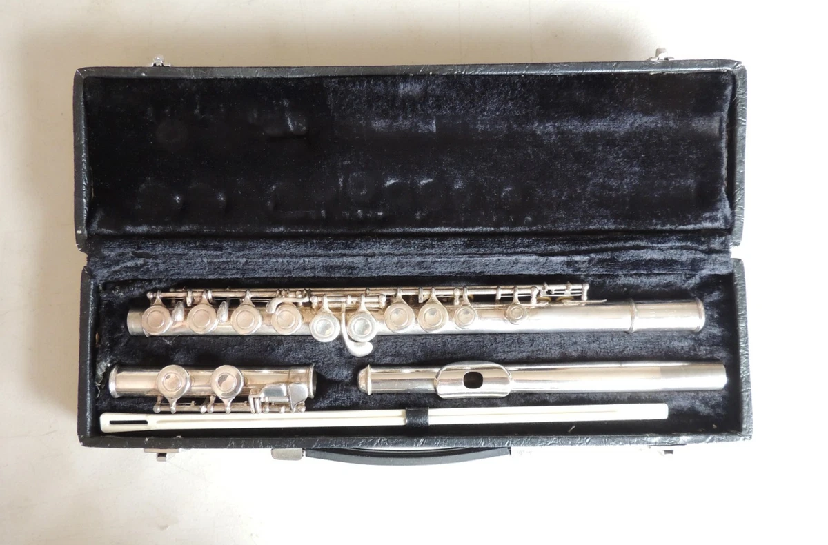 ⭐︎10%オフ中⭐︎フルート Vito Flutes for sale | eBay