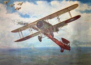 1970 AVIATION: A Double For Rickenbacker - 13x15 “ art print CHARLES H. HUBBELL