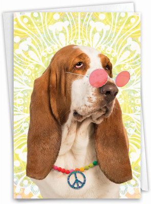 - Funny Birthday Greeting Card with 5 X 7 Inch Envelope (1 Card) Puppy Bday Hipp