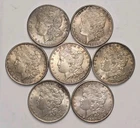 7 Uncirculated Pre 1904Morgan Silver Dollars - Original Toned Coins