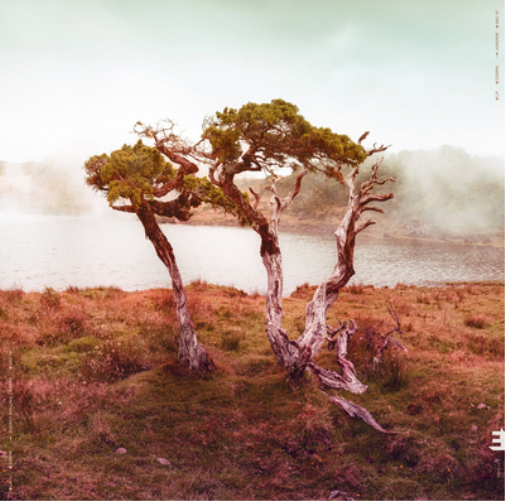 Slowly Rolling Camera Juniper (CD) Album