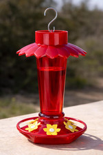 Hummingbird Feeder with Umbrella Ant Moat Leakproof 6 Ports Hanging
