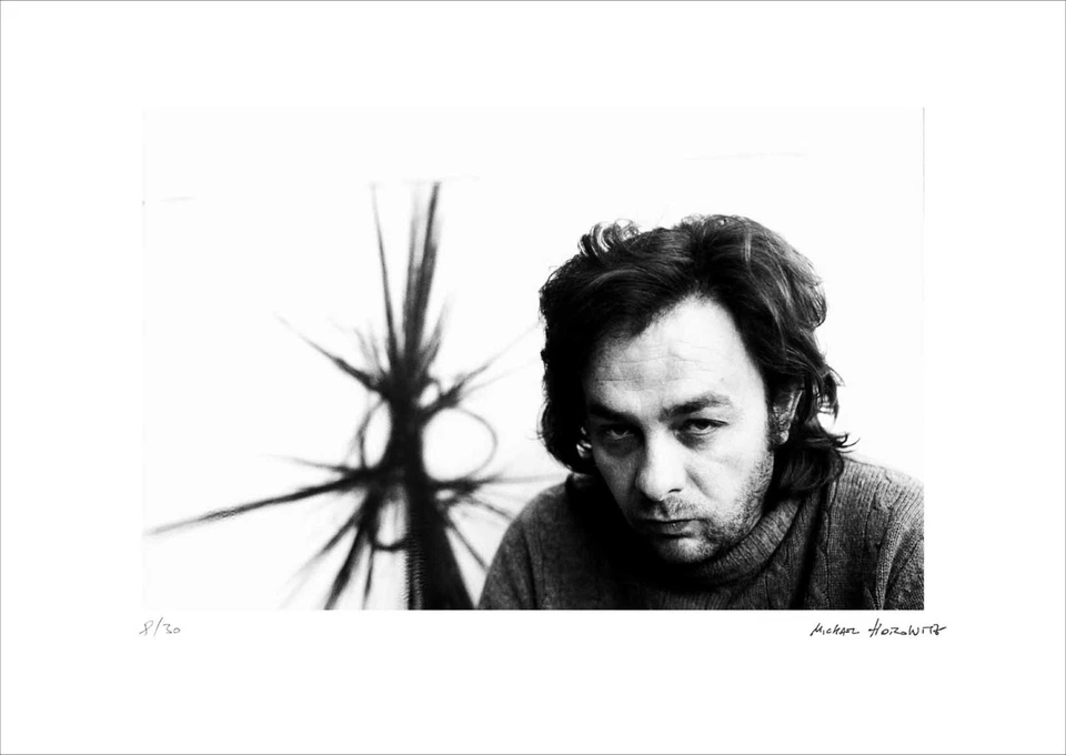 Michael HOROWITZ, Arnulf RAINER - Fotographie Pigmentdruck - Bild 1 von 1