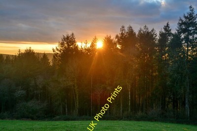 Foto A3 Rosenasche: Whippenscott Copse Die Sonne geht am Himmel unter. c2022