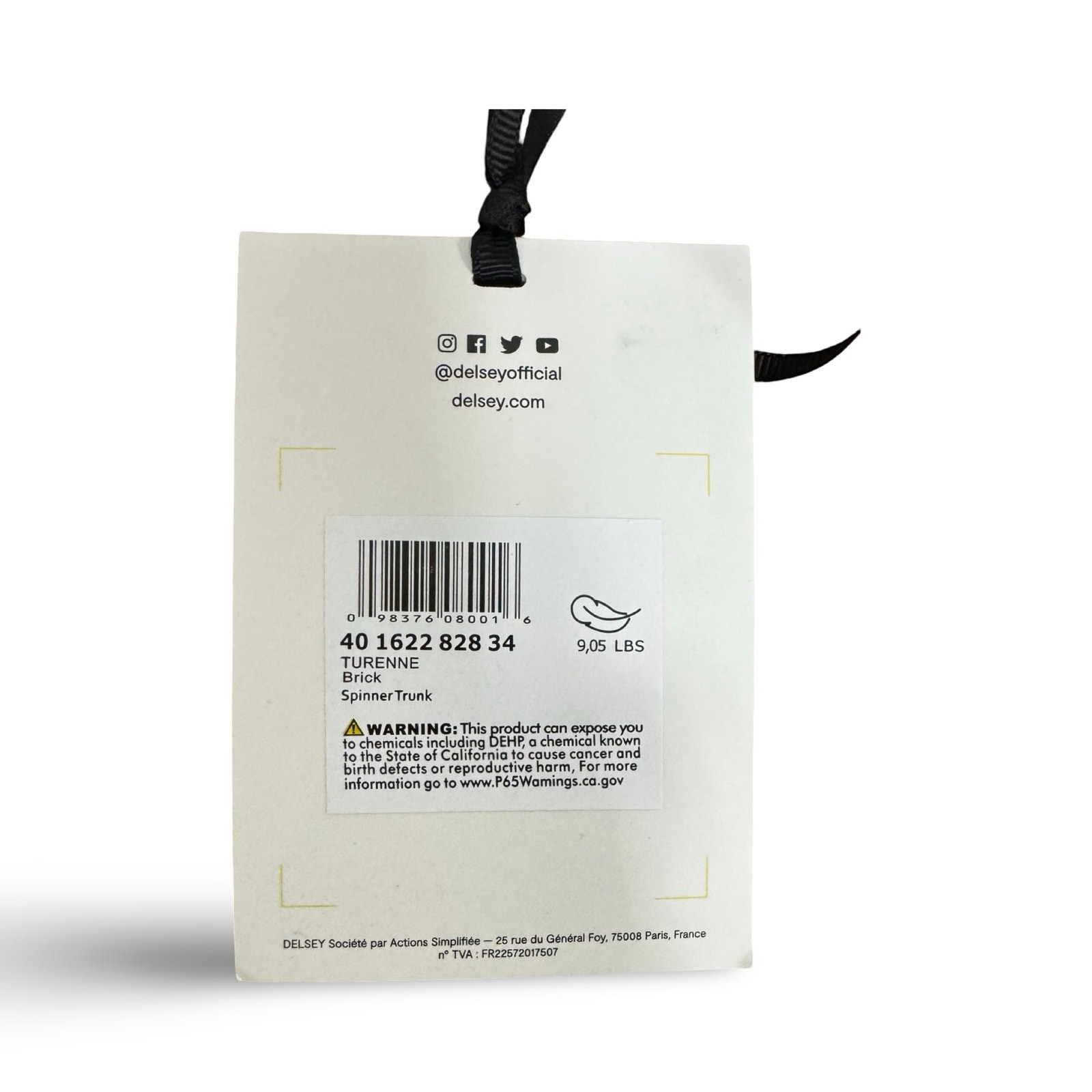 Delsey Paris Turenne 2.0 29" Spinner Trunk - Brick