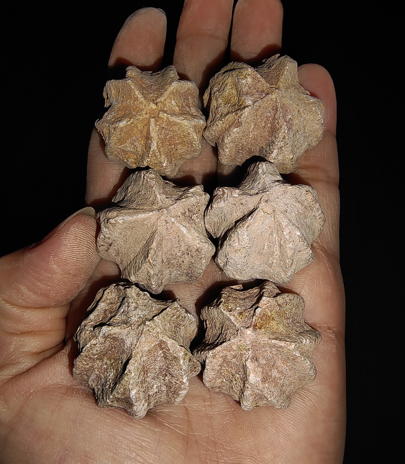 Picture 4 of 5