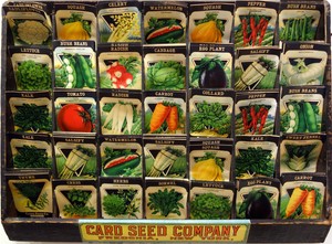Rare-beautiful-CARD-SEED-CO-Country-Store-Display