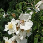 Foto 9 di 9
