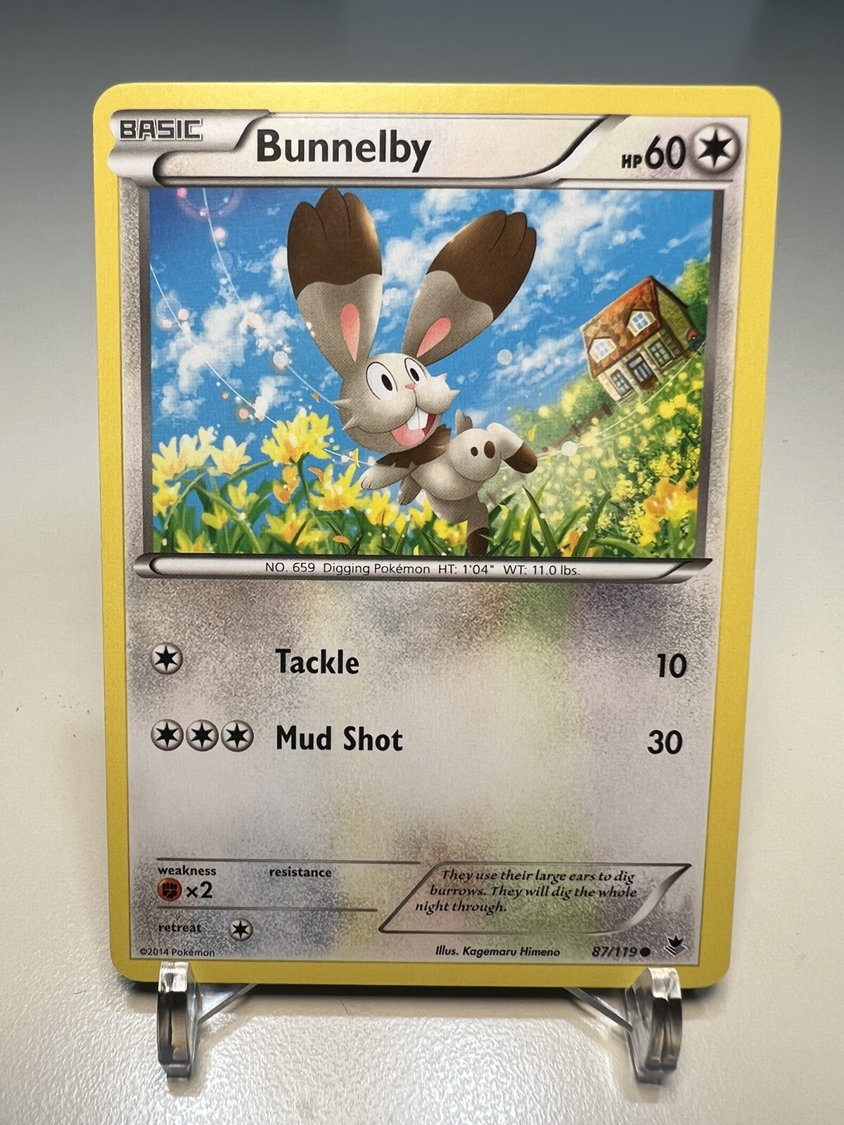 Pokémon TCG Bunnelby Phantom Forces 87/119 Regular Common 2014 - NM: Near Mint