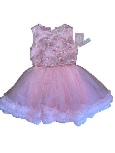 NWT Gorgeous Disney Princess Aurora Pink Dress Size 9/10 Embroidered Flowers