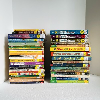 Lot of 10 Random 4th grade Children's Kids Chapter Book Some series Elementary