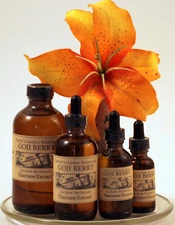 GOJI BERRY Handcrafted Antioxidants High Immunity Potent TCM FOLK Tincture ~