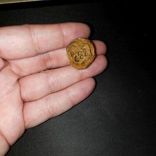 Meta Sequoia Pine Cone Fossil - Hell Creek Formation Cretaceous  - Authentic