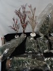 Picture 4 of 6