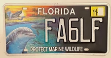 Florida License Plate PROTECT MARINE WILDLIFE Steve Diossy Marine Artist