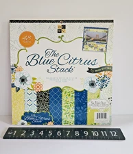 OOP DCWV The Blue Citrus Stack 12x12, 48 sheets Cardstock w/ Glitter