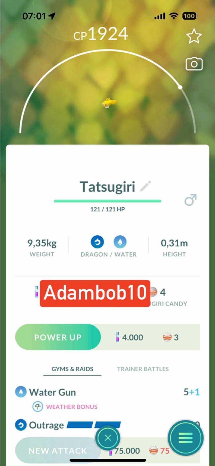 Pokémon Go - Stretchy Form Tatsugiri-Trade 20k dust OR PTC