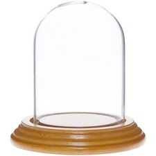 Plymor 2.5" x 3.5" Small Glass Display Dome Cloche (Oak Veneer Base)