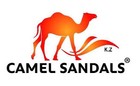camel-holyland