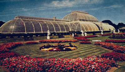 Kew Garden. Royal Botanic Gardens. Palm House Unused postcard D209