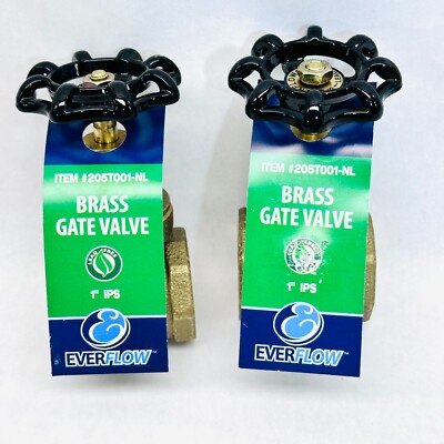 (LOT OF 2)  EVERFLOW  205T001-NL BRASS GATE VALVE 1'' 200WOG