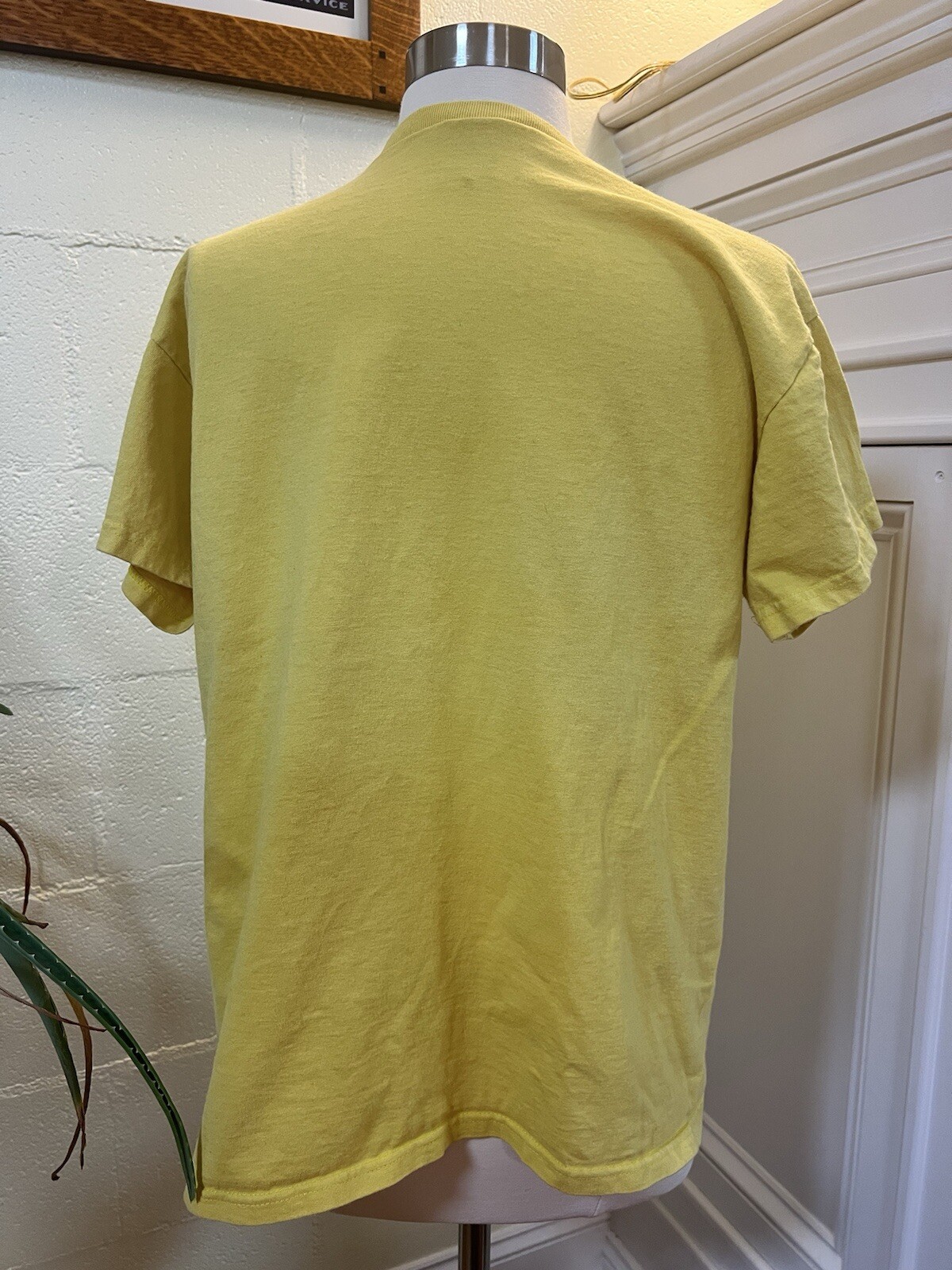 Picture 4 of 5