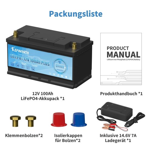 Batería de litio 100Ah 200Ah 300Ah 12V LiFePO4 BMS batería autocaravana 20000 ciclos - Imagen 113 de 122