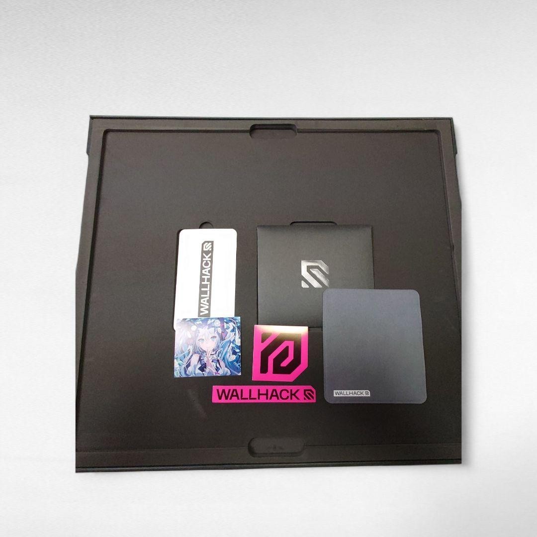 Wallhack SkyPAD SP-004 Hatsune Miku gaming mouse pad Near Mint