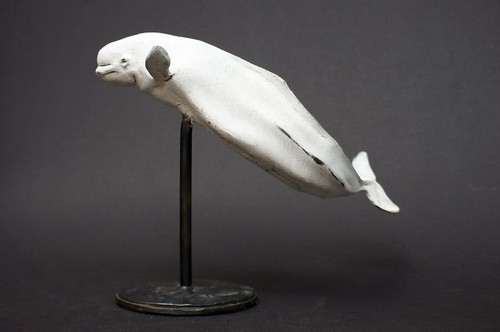 Bronzefigur 'BELUGA WHALE - WEIßWAL' by "RUCHOS" - Limited Edition - Bild 7 von 12