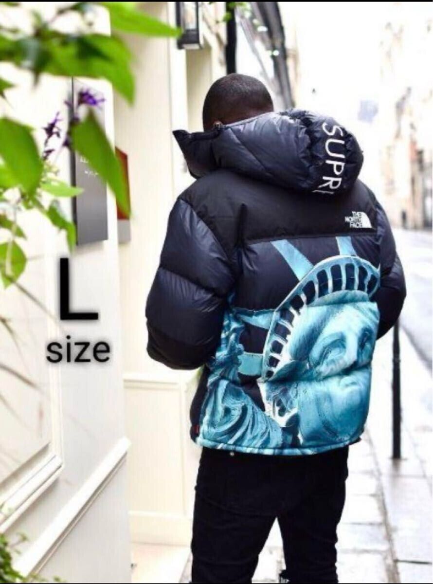 Supreme X The North Face Statue Of Liberty Baltoro Jacket Supreme X The North Face Statue Of Liberty Baltoro Jacket